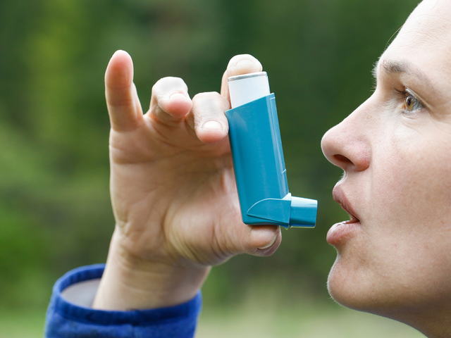 Pycnogenol: The Surprising Natural Remedy for Allergies and Asthma Relief