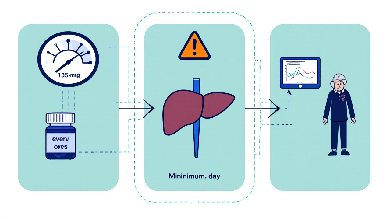 Technical cartoon diagram showing dosage adjustments for kidney, liver, and elderly patients.